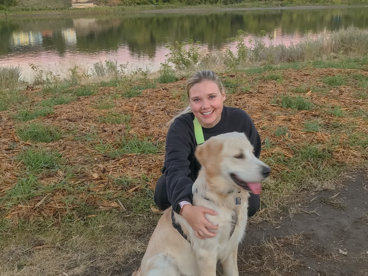 Let me introduce myself